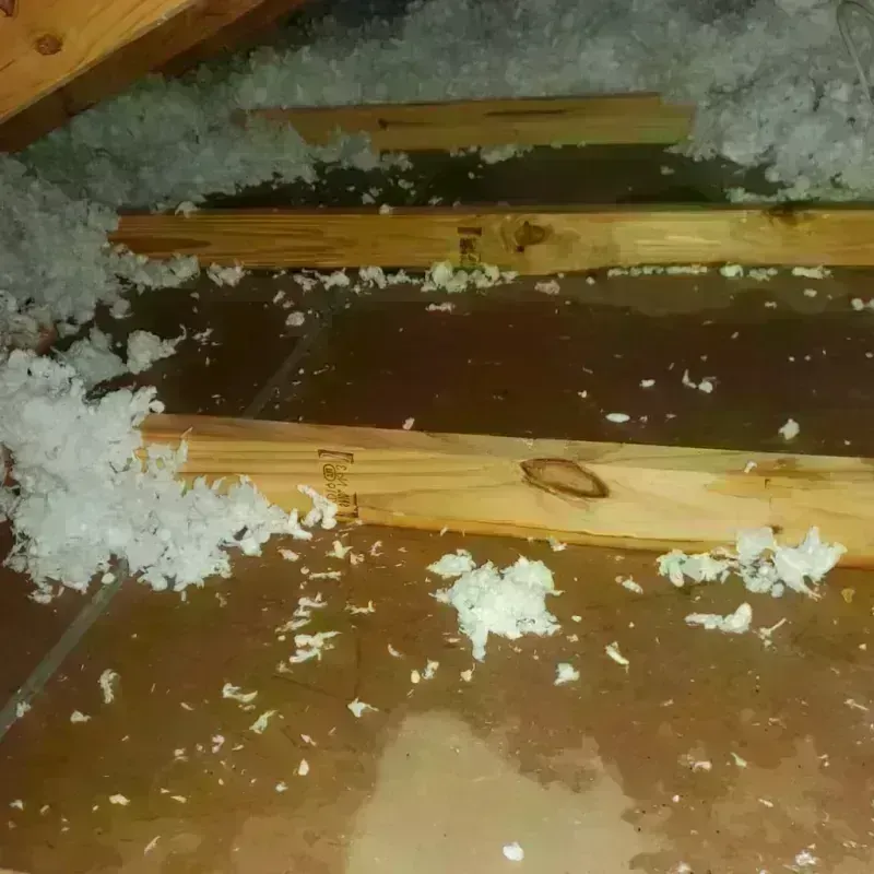 Attic Water Damage in Rockford, MN