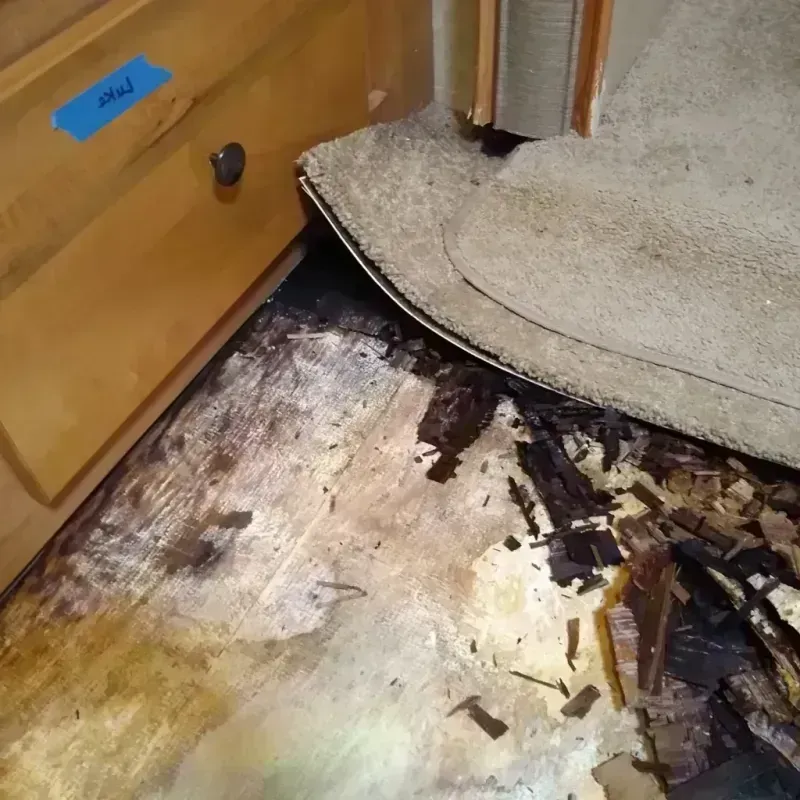 Best Wood Floor Water Damage Service in Rockford, MN